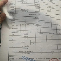 石灰山东济宁嘉祥石灰块，灰粉