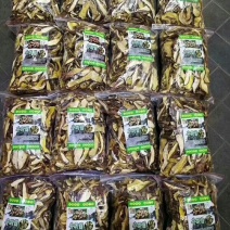 牛肚菌黄牛肝菌10斤包邮