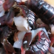 鲜虾尾！