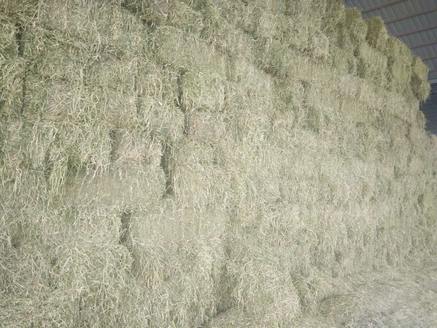 大蒜粉与饲料混合设备示意图