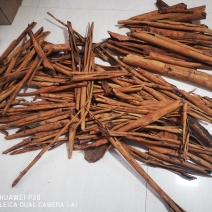 大量烟桂皮供应