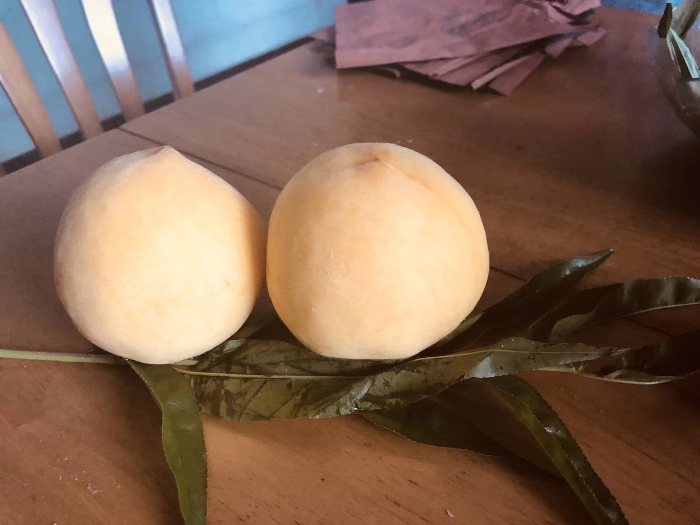 炎陵黄桃果实在阳光下展示