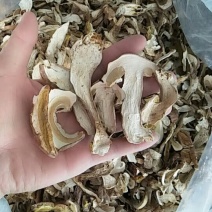 牛肝菌美味牛肝菌10斤包邮