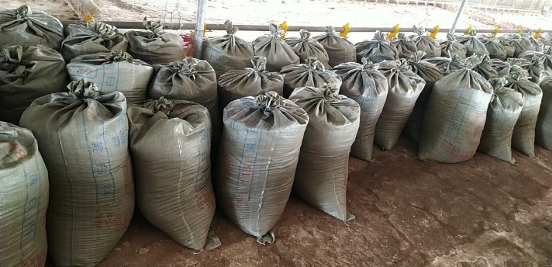 稻壳鸡粪 稻壳麻鸡粪 鸡粪 谷壳鸡粪有机肥