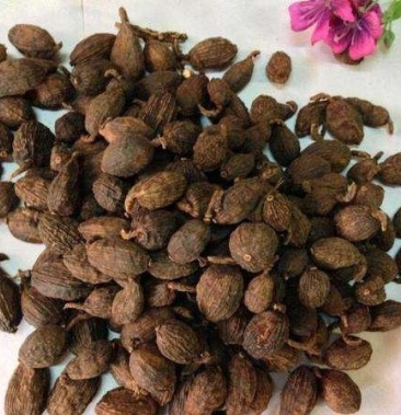 草果 草果仁 带皮草果 云南净货 一公斤包邮 量大从优