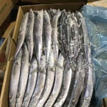 1号9900一吨，2号8900，3号8800刀鱼