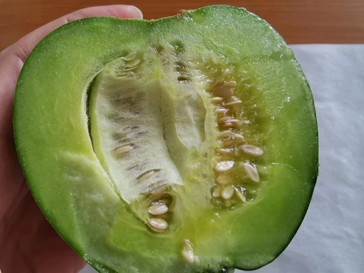 海南绿宝甜瓜切面特写