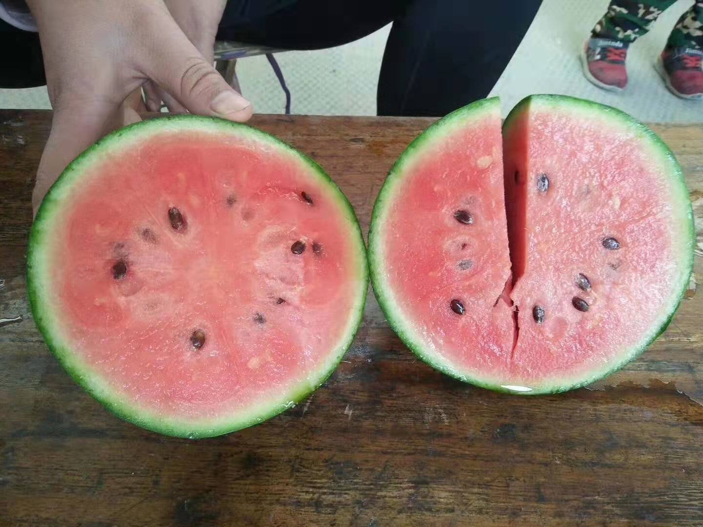 高清微距对比图:左侧为采摘后1天的西瓜红品种幼果,果皮深绿有蜡粉,瓜瓤呈浅乳白色,质地紧实;右侧为同一果实室温存放4天后状态,果皮光泽变柔和,瓜瓤已均匀呈现鲜亮西瓜红,可见细腻砂纹与晶莹汁囊,切面湿润反光,无白筋残留 西瓜红品种未熟果与成熟果对比图