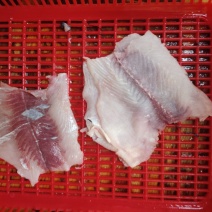 鱼肉花鲢鱼肉酒店鱼丸子原料