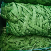 东北油豆角俗称大油豆