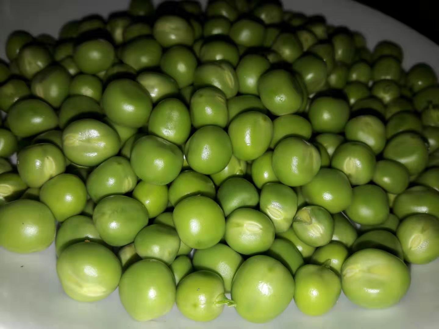 炒好的青豌豆盛放在白色盘子中,颜色翠绿诱人 青豌豆成品图