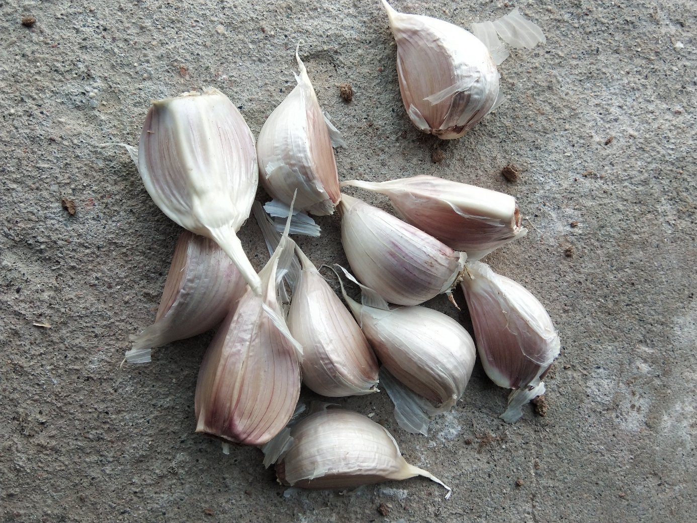 家庭厨房台面俯拍：玻璃碗中盛放金黄蒜米油（蒜米悬浮于清亮植物油中）、旁边并列小碟装紫苏碎、青柠角、小米辣圈与现磨黑胡椒，不锈钢研钵内残留少量捣碎蒜粒，体现“蒜米同配”的日常组合智慧