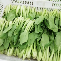 小青菜，杭白菜，米线
