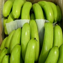 0.17一斤香蕉大量上市，货源充足稳定，当日现采现发
