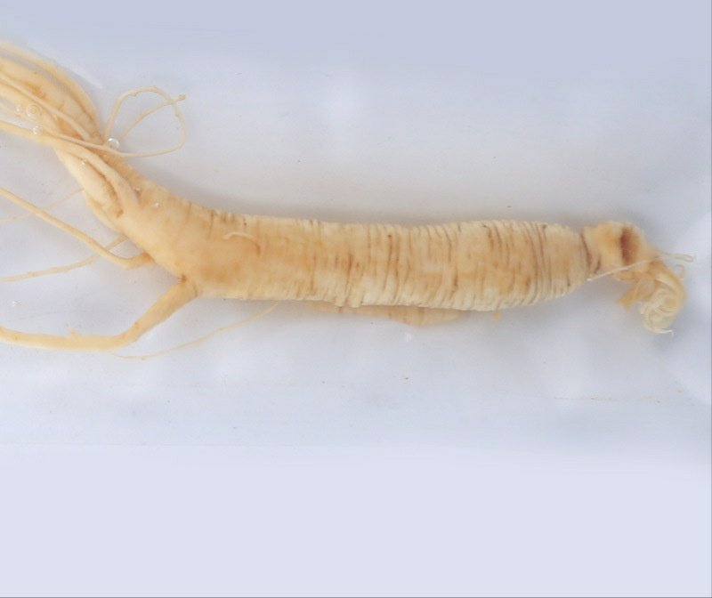 鲜人参与干参对比图