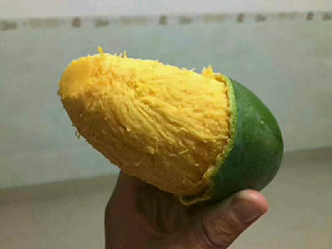 桂七芒果与凯特芒果对比图