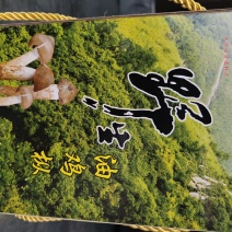 鸡枞油！油鸡枞！