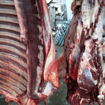 驴肉