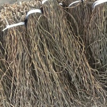 陕西豆角山东豆角新疆豆角湖南豆角一件50斤