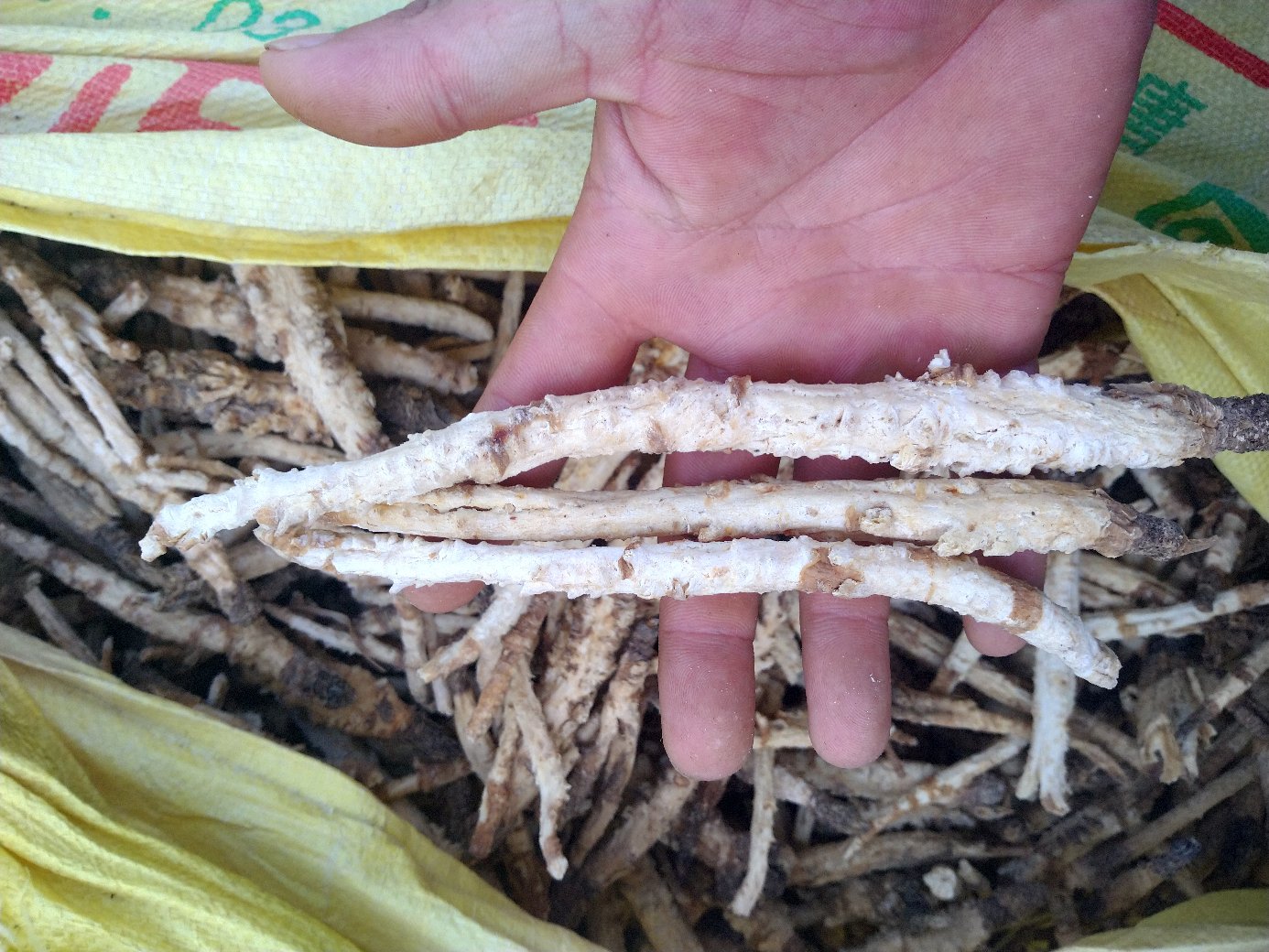 中药房内药师配药场景