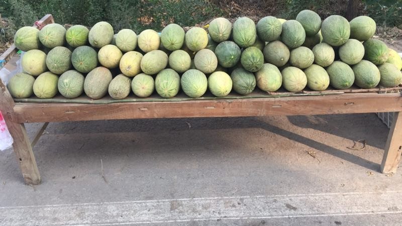 市场上正在挑选木瓜的消费者,展示木瓜的不同成熟度 挑选成熟的木瓜