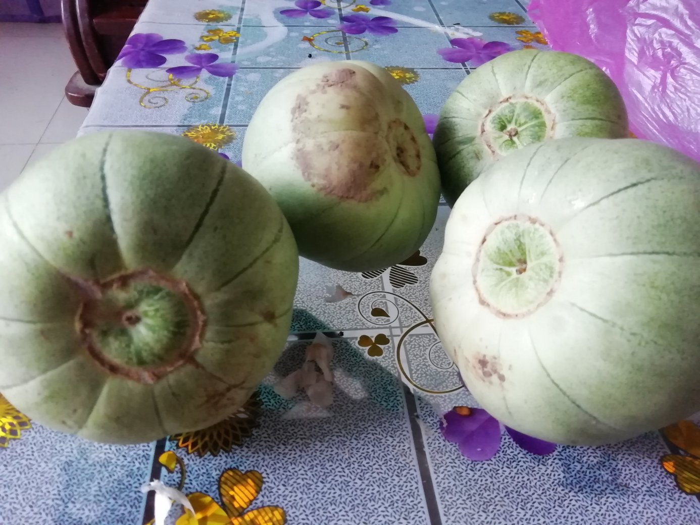 一颗成熟的绿宝甜瓜放置在自然光下的木质桌面上,果实呈淡绿色椭圆形,表皮光滑略带网纹,旁边摆放一把水果刀以显示尺寸比例,背景为田园农场环境 绿宝甜瓜整体外观展示