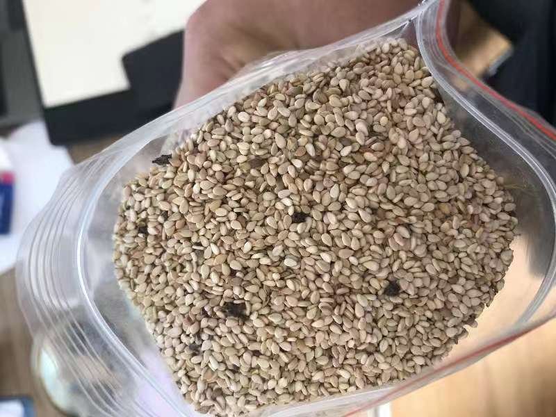 一组高端水洗白芝麻产品的零售包装展示,包括透明袋装、礼盒装和真空小包装,标签清晰标注产地、等级和生产日期,背景为超市货架或电商平台拍摄风格,突出商品化形象 包装精美的水洗白芝麻产品陈列展示