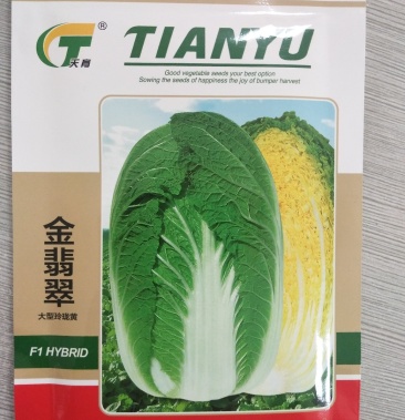 早春耐低温耐抽苔玲珑黄纯黄心白菜种子金翡翠19年11月籽