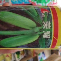 西葫芦种子绿领荣耀西葫芦种子
