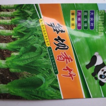 莴笋种子笋坝香竹莴笋种子