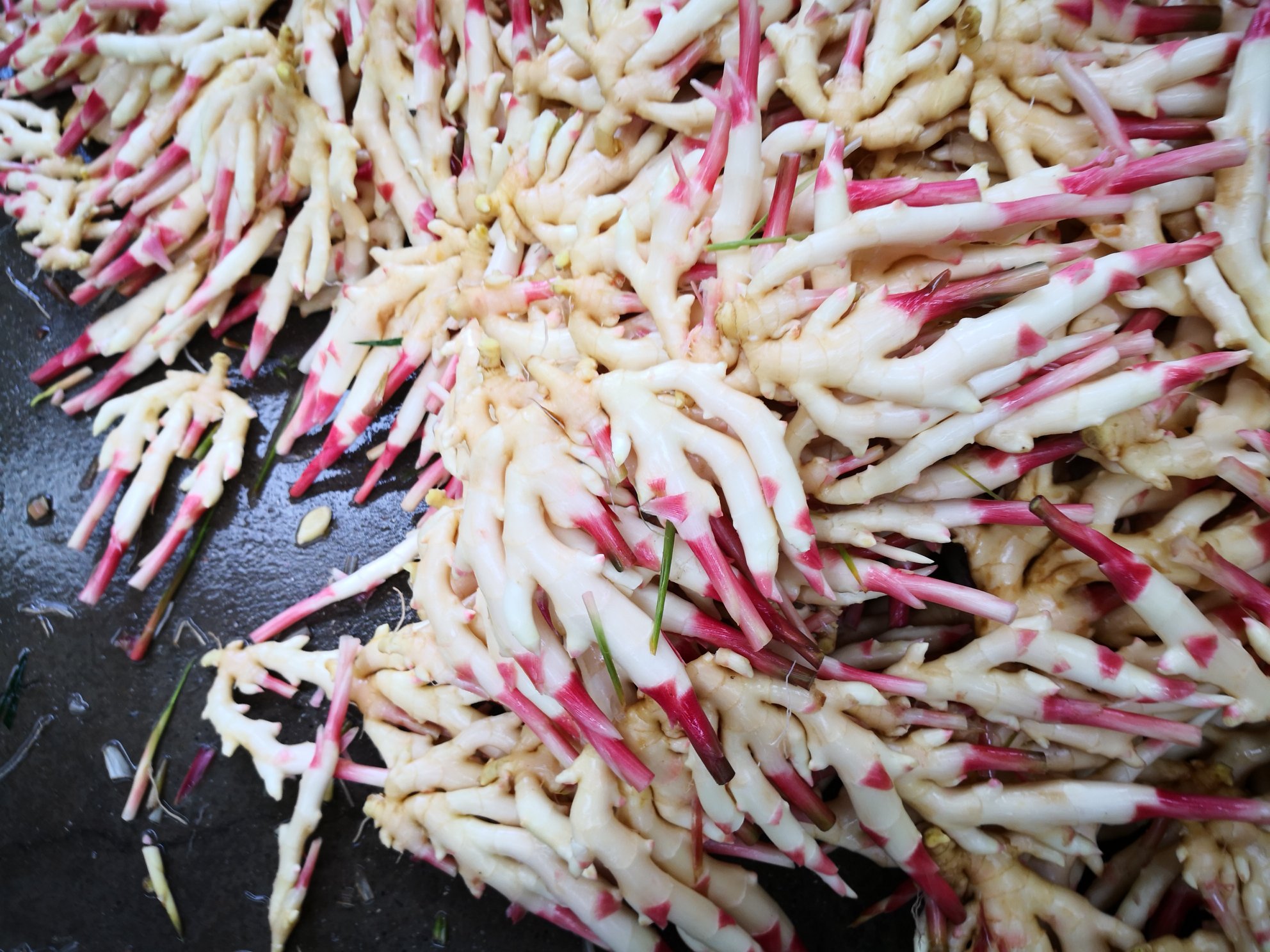 生活场景图:木质砧板上摆放带泥新鲜子姜、瓷碟盛装腌子姜片(粉嫩透亮)、不锈钢锅中翻炒子姜丝与虾仁,背景虚化为明亮厨房窗台,体现'从田间到灶台'的新鲜链路 新鲜子姜料理应用场景图