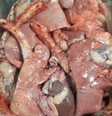 [羊心批发]羊心肺,10㎏一箱价格6.50元/斤 - 一亩田