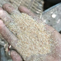 虾糠虾粉