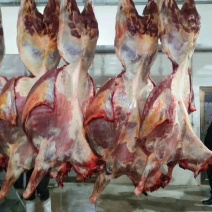 外蒙马肉，活马吊宰，自有加工厂。