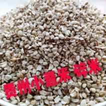批发供应贵州兴仁薏仁米小薏米碎米厂家直销欢迎洽谈采购