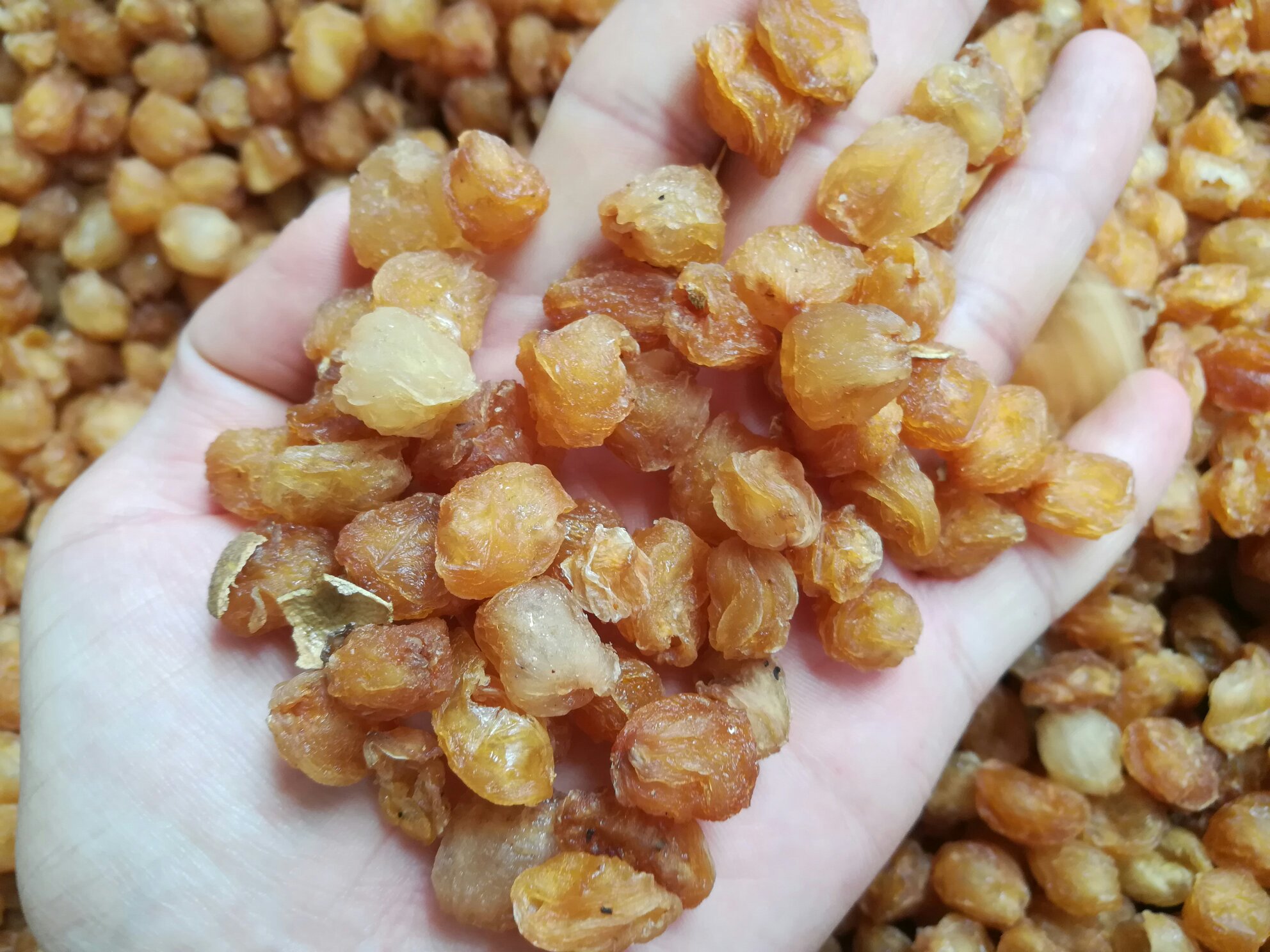 展示干桂圆的主要营养元素含量图表 干桂圆营养成分表示意图