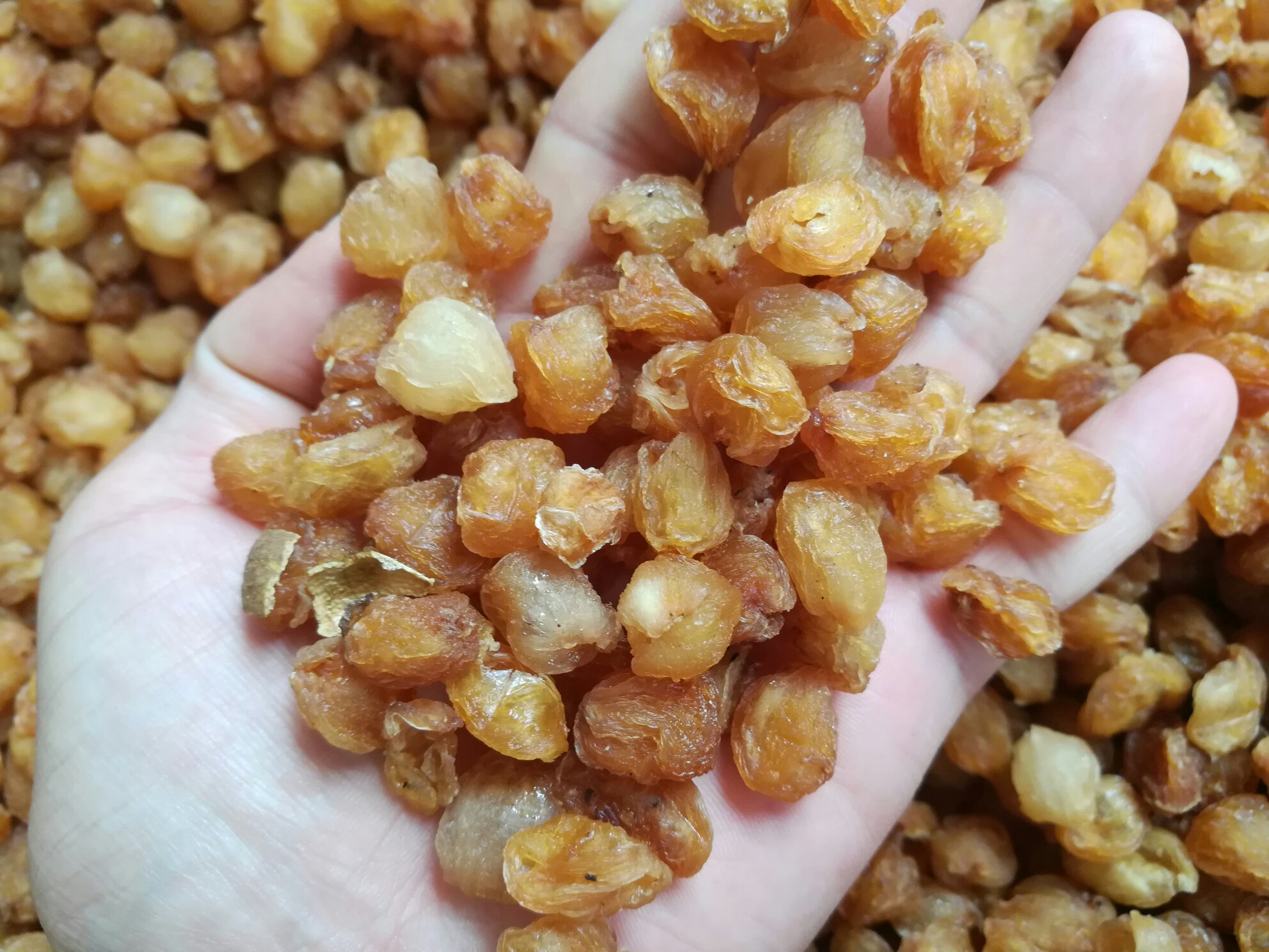 桂圆干与鲜桂圆对比图