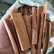 中药树皮类