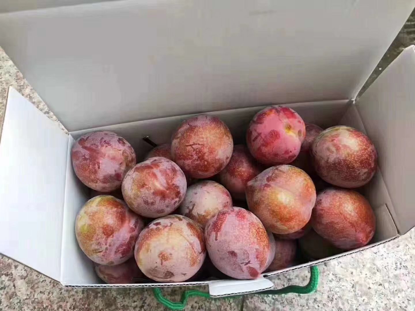 新鲜采摘的桃形李果实,色泽红润,表皮光滑 桃形李特写