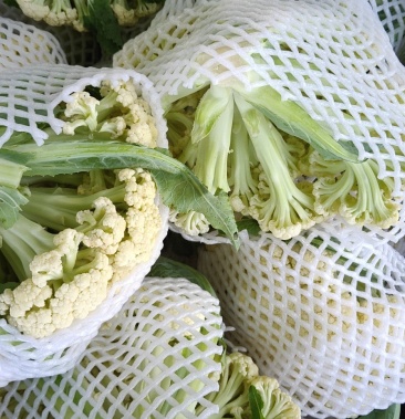 精品青梗散花有机花菜80