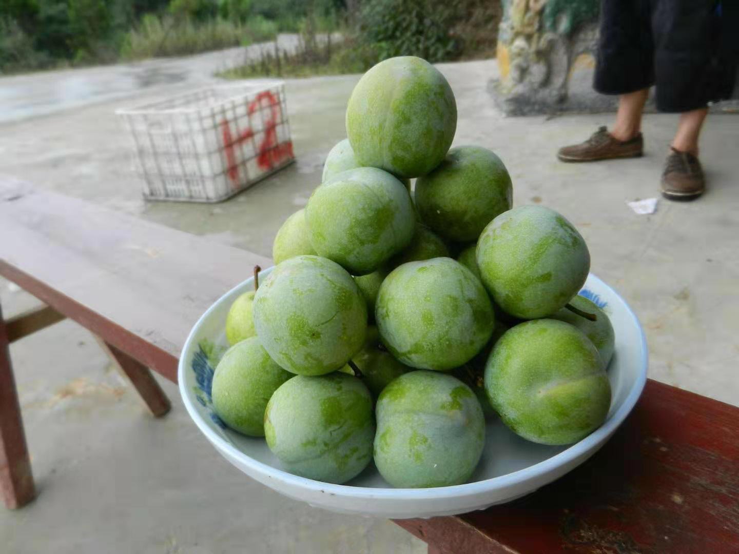 青李加工成品展示