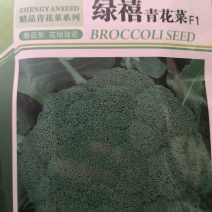 郑研绿禧西兰花种子1000粒