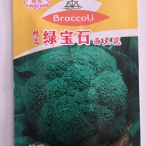 耐低温，抗病，绿宝石西兰花种子