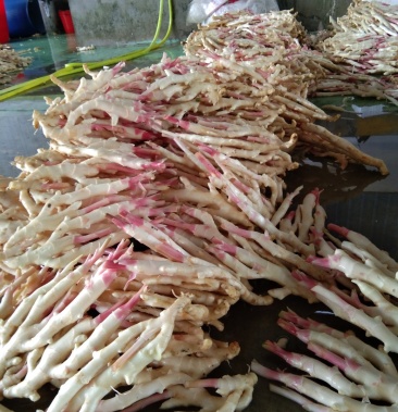 整车;按斤收费;运费买家自理规格通货250斤立即订购莫德富店铺等级:4