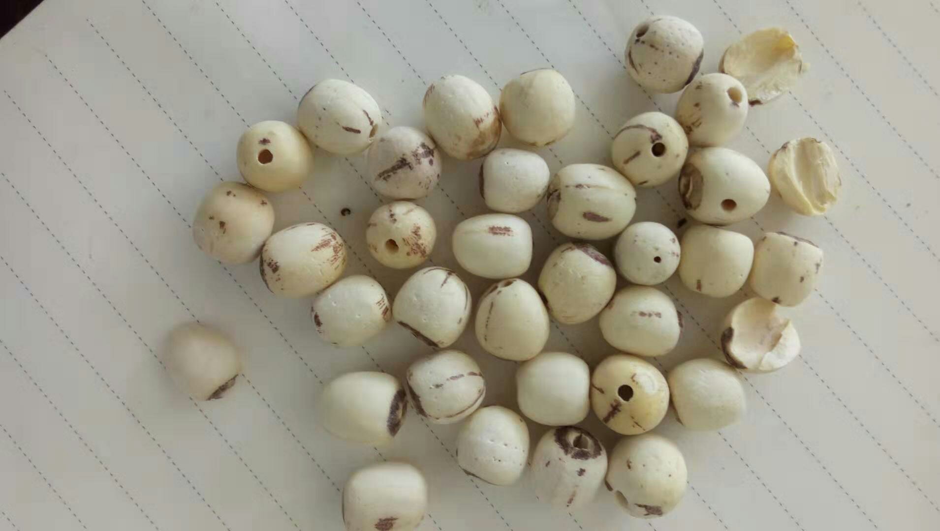 莲子保存状态对比图