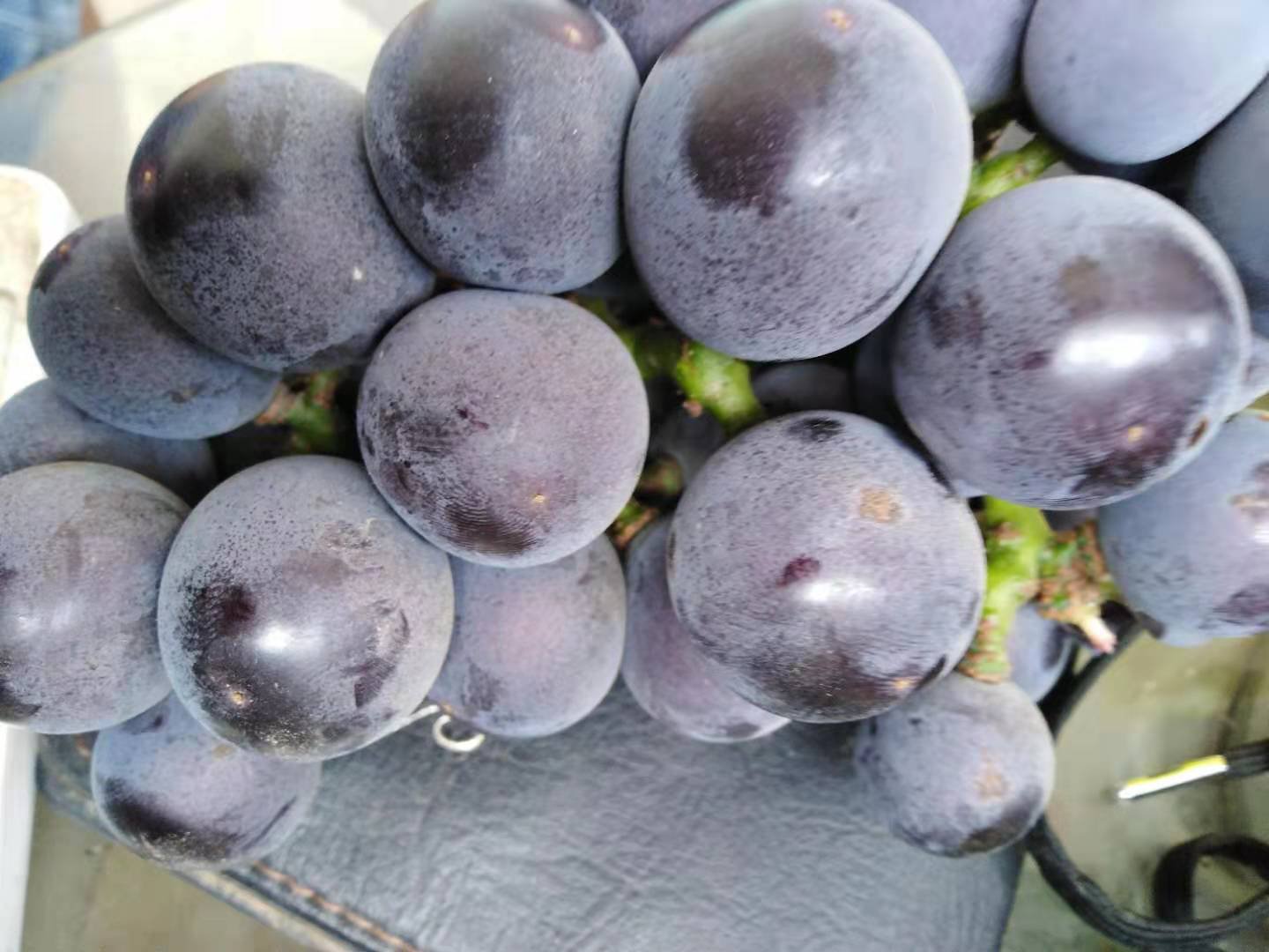 京亚葡萄切开细节图