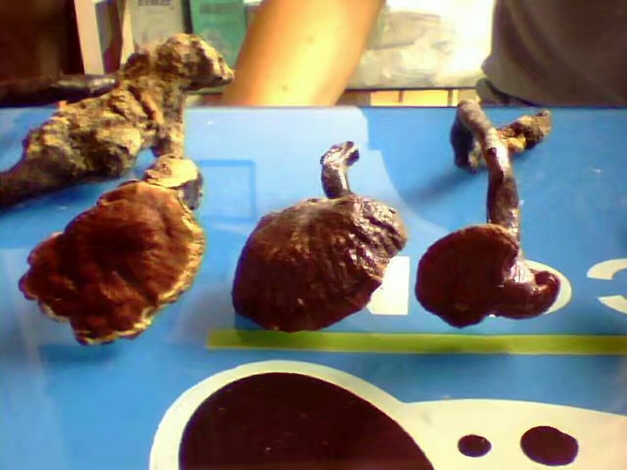 灵芝原料分级与干燥状态对比图