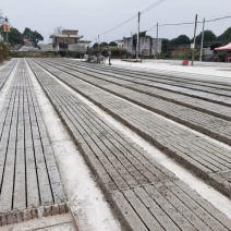 广西桂林，水泥柱，水泥杆，水泥桩……………