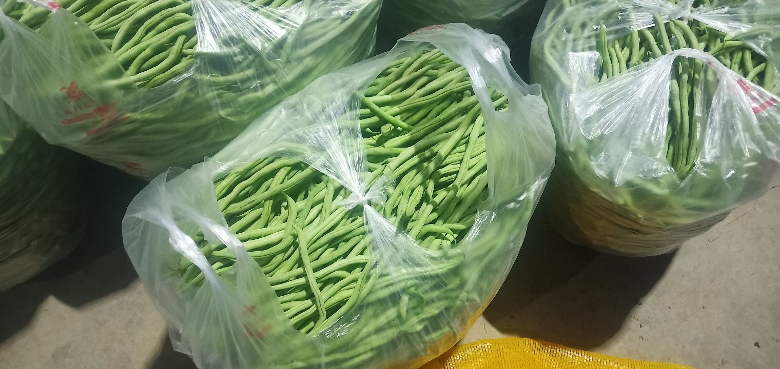 新碗豆在超市货架上的陈列,展示其商品化包装和市场流通情况 新碗豆在超市货架上的陈列