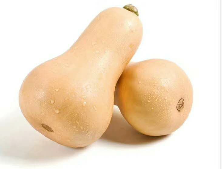 阿根廷奶油南瓜整颗展示